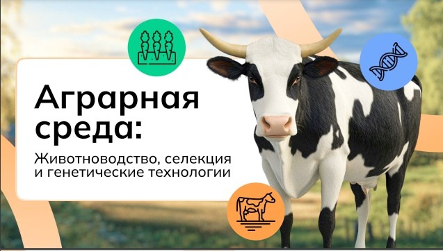 Школьное занятие «Россия — Мои горизонты».